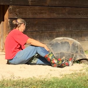 Aldabra Breeders