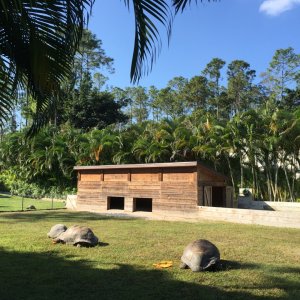 Aldabra Breeders