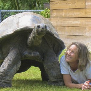 Aldabra Breeders