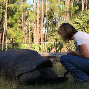 Aldabra Breeders