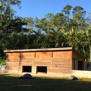 Aldabra Breeders