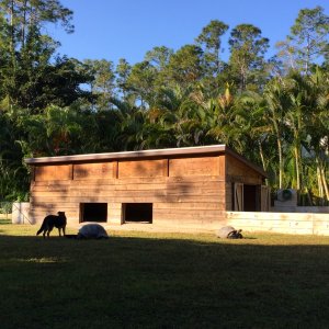 Aldabra Breeders