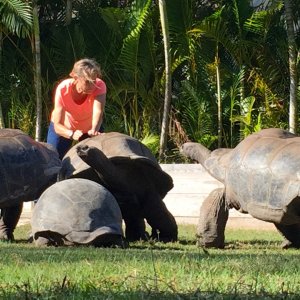 Aldabra Breeders