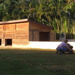 Aldabra Breeders