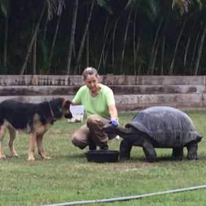 Aldabra Breeders