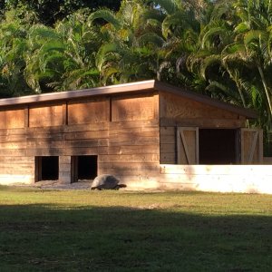 Aldabra Breeders