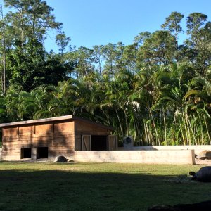 Aldabra Breeders