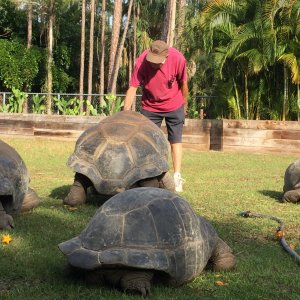 Aldabra Breeders