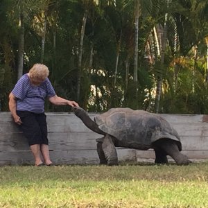 Aldabra Breeders