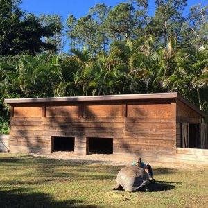 Aldabra Breeders