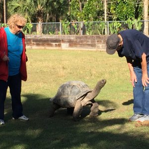 Aldabra Breeders