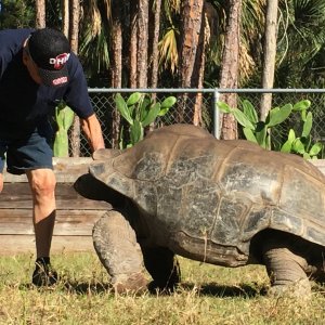Aldabra Breeders