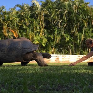 Aldabra Breeders