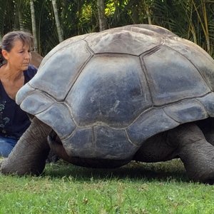 Aldabra Breeders