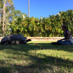 Aldabra Breeders