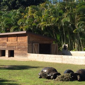 Aldabra Breeders