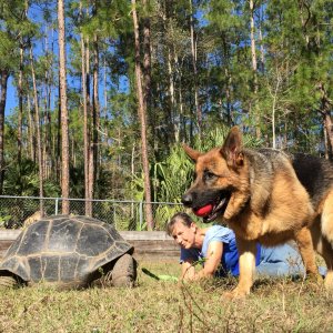Aldabra Breeders