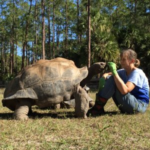 Aldabra Breeders