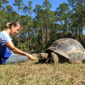 Aldabra Breeders