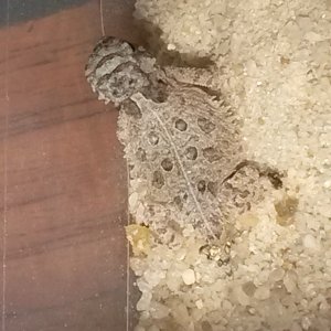 Just a few days old
