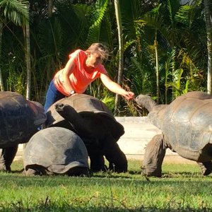 Aldabra Breeders