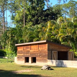 Aldabra Breeders