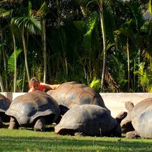 Aldabra Breeders