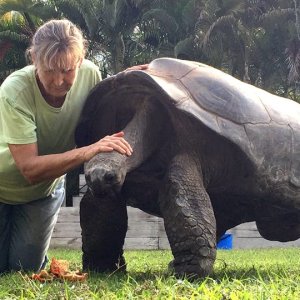 Aldabra Breeders