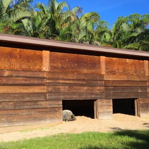 Aldabra Breeders