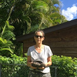 Aldabra Breeders