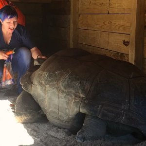 Aldabra Breeders