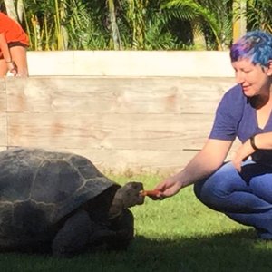 Aldabra Breeders