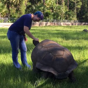Aldabra Breeders