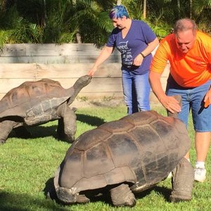 Aldabra Breeders