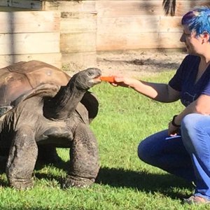 Aldabra Breeders