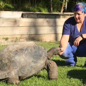 Aldabra Breeders