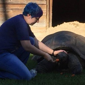 Aldabra Breeders