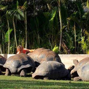 Aldabra Breeders