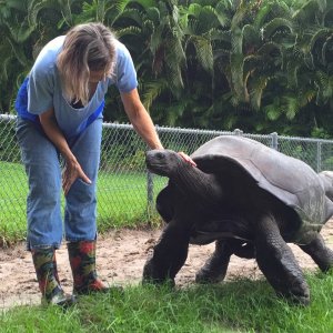 Aldabra Breeders