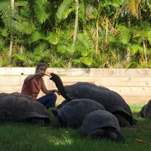 Aldabra Breeders