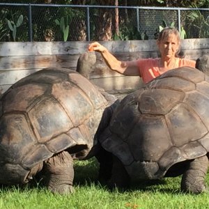 Aldabra Breeders