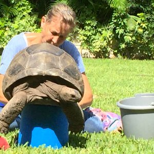 Aldabra Breeders
