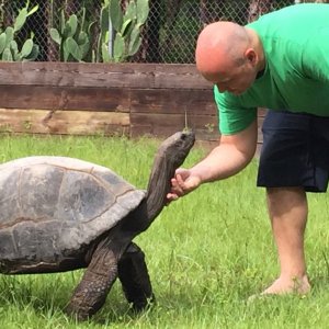 Aldabra Breeders