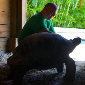 Aldabra Breeders