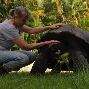 Aldabra Breeders