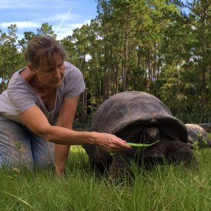 Aldabra Breeders
