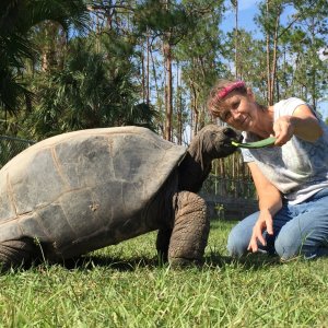 Aldabra Breeders