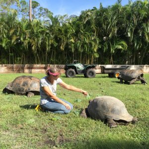 Aldabra Breeders