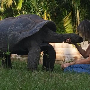 Aldabra Breeders