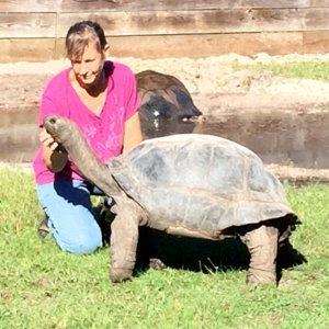 Aldabra Breeders